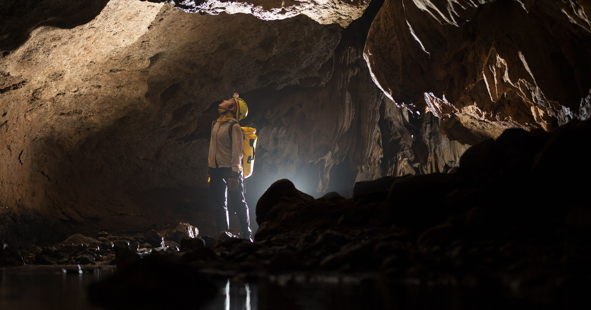 Into the Dark: Exploring the Hidden World of Bat Migration