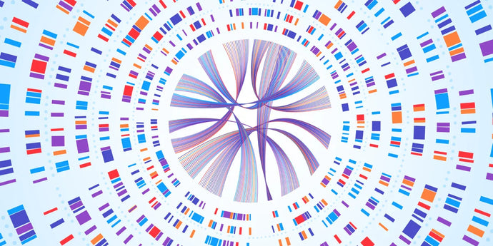 What is Whole Genome Bisulfite Sequencing (WGBS)?