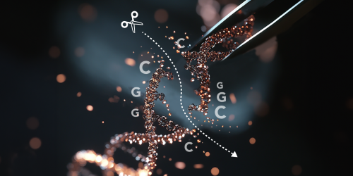 What is Reduced Representation Bisulfite Sequencing (RRBS)?