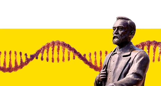 Nobel Laureates Spotlight: Their Discoveries and RNA Solutions They Use