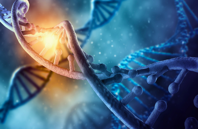 DNA Methylation 101: What It Is and Its Basic Patterns