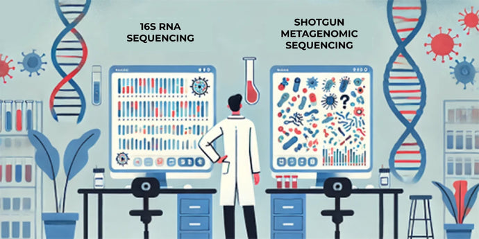 Exploring Microbiome Profiling Techniques