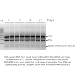 DNA/RNA Shield