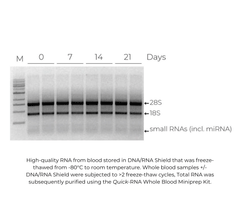 DNA/RNA Shield