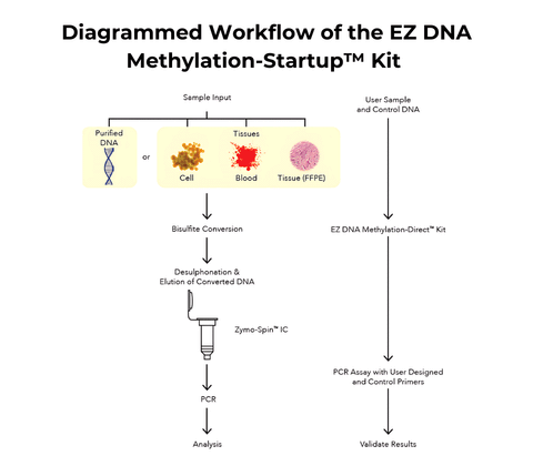 EZ DNA Methylation-Startup Kit