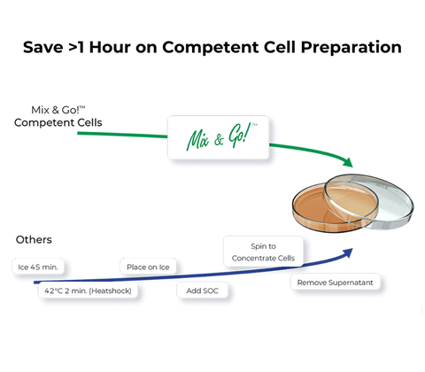 Mix & Go! Competent Cells - DH5 Alpha