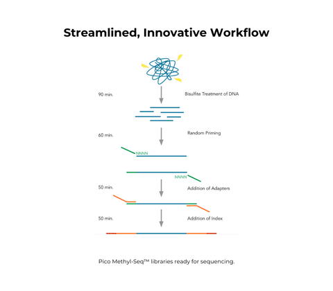 Pico Methyl-Seq Library Prep Kit