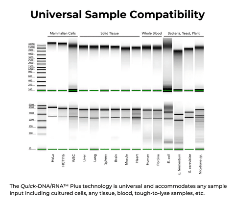 Quick-DNA/RNA Miniprep Plus Kit