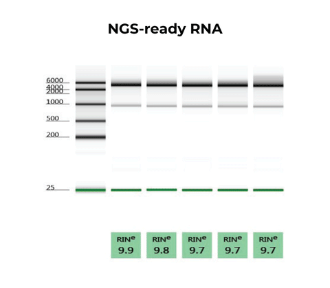 Quick-RNA 96 Kit