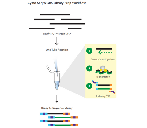 Zymo-Seq WGBS Library Kit