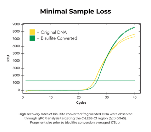 EZ-96 DNA Methylation-Lightning MagPrep