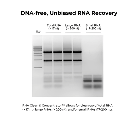 RNA Clean & Concentrator-5