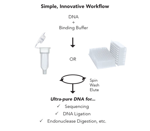 DNA Clean & Concentrator-500