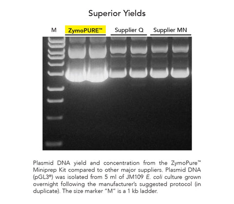 ZymoPURE II Plasmid Maxiprep Kit