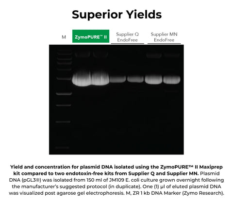 ZymoPURE II Plasmid Maxiprep Kit